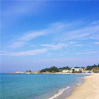 新倩女幽魂口袋版公测游戏下载