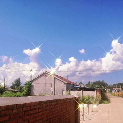 一血万杰日服下载